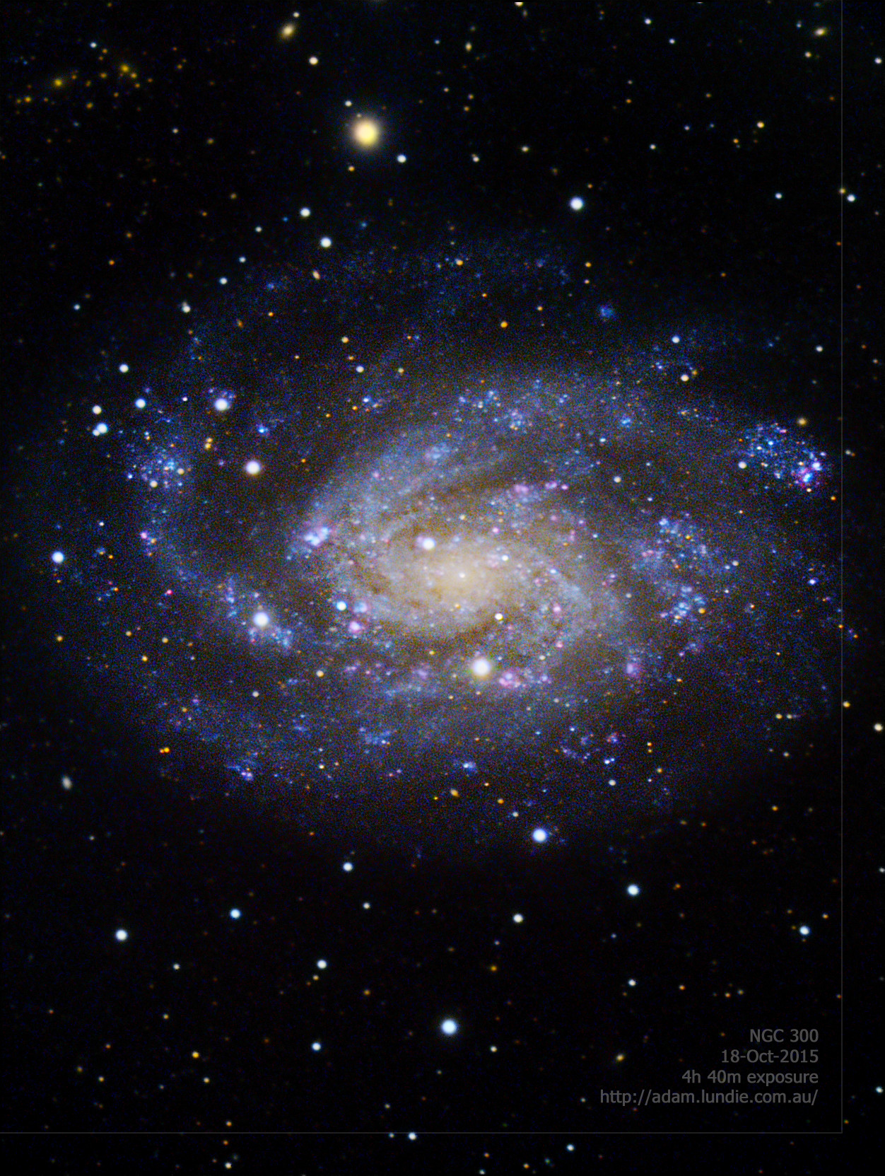 NGC 300