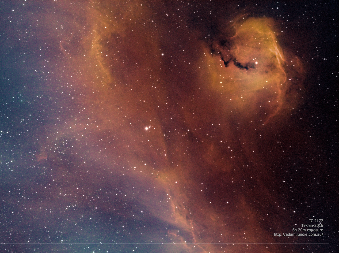 Seagull Nebula
