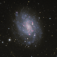 NGC 300 thumbnail
